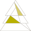 Arauco logo-rodape